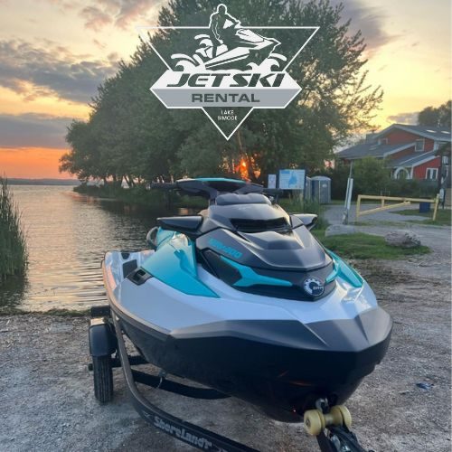 Lake Simcoe Jet Ski and pontoon Rentals
